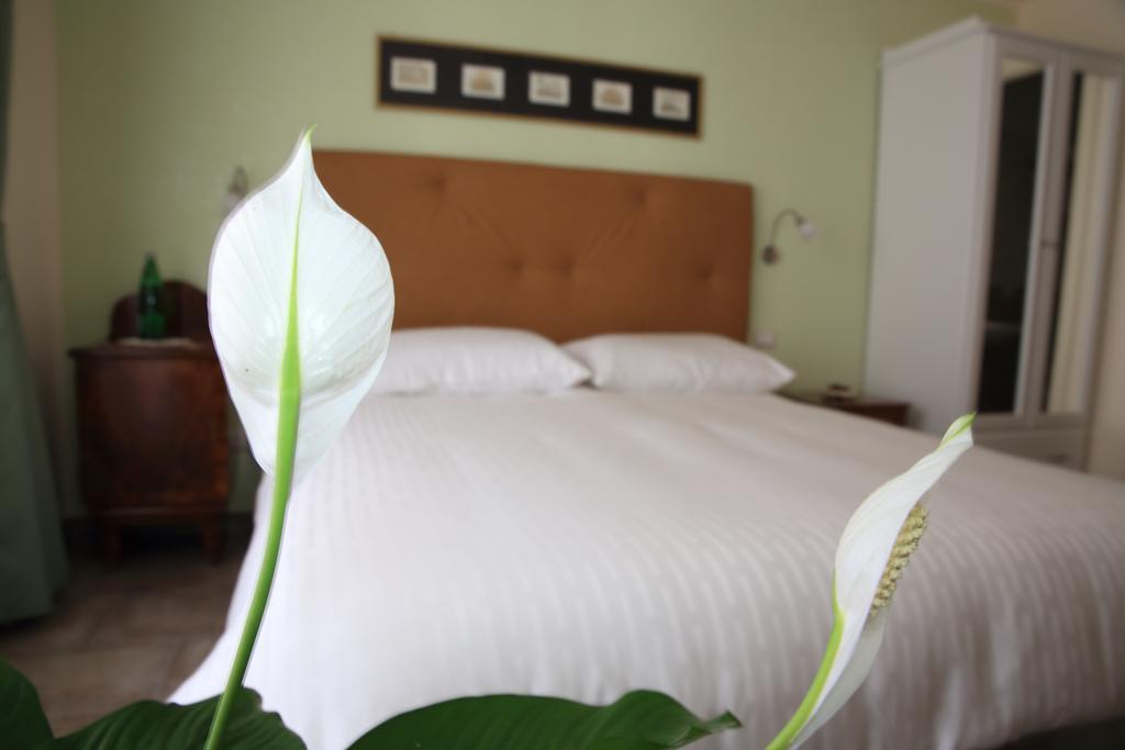 Anice Guesthouse Rome Bagian luar foto